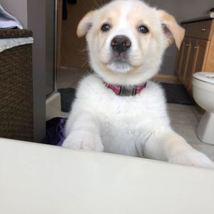 Meet your Posher, Randy